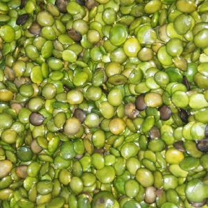 Griffonia Simplicifolia Dried Seeds, Certification : FDA Certified