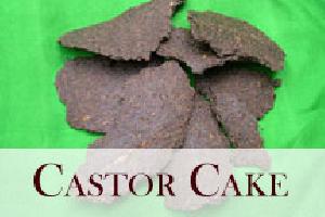 Castor Cake