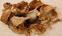 Dried Oyster Mushroom