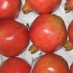 Pomegranate Plants 