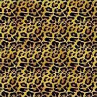 Leopard Print Bandanas