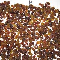 Light Brown Malayar Raisins