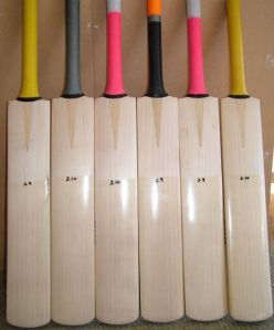 Cricket Bat