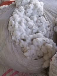 raw cotton