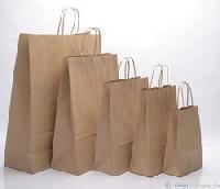 paper brown bags delhi carry