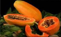 Carica Papaya Fruit Extract