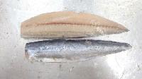 Frozen Fish Fillet