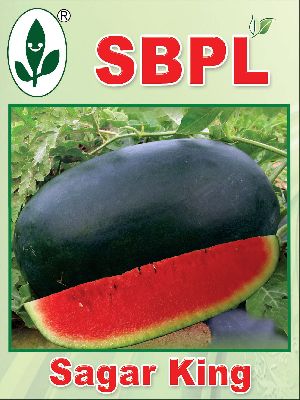 Sagar King Hybrid Watermelon Seeds