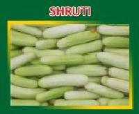 Shruti Hybrid Cucumber Seeds