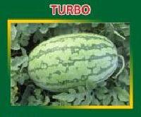 Turbo Hybrid Watermelon Seeds