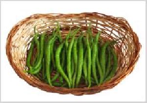 Niharika Green Chilli Seeds