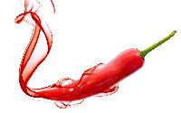 Chili Pepper /  Red chilly