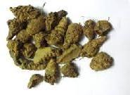 Black Turmeric Finger