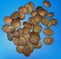 Gbogboye Herbal Seeds