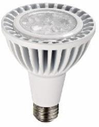 PAR30 LED Lamp