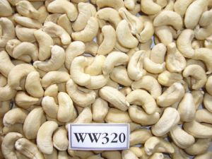 cashew kernel