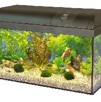 Elite Basic 60 Aquarium Set