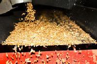 Grain Cleaning Services