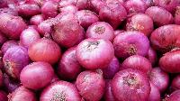 fresh red onion