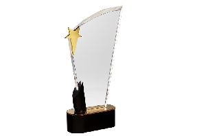 Acrylic Rectangular Trophy