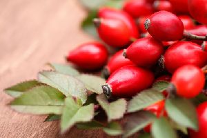 Rose Hip Extract Capsule
