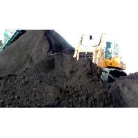 Stockpiling Steam Coal