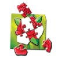 4 FLOWERS PIECES PUZZLES game