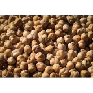 White Chickpeas