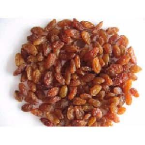 Dried Raisins