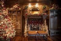 Tree Decorations And Stocking Holders