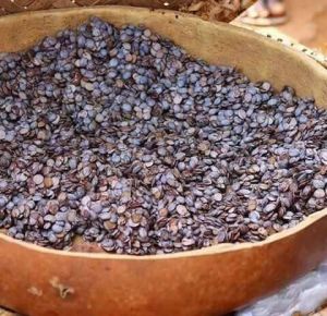 Locust Beans