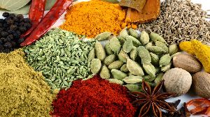 indian spices