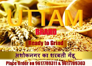 Uttam Brand Standard Quality Sharbati Wheat Seeds