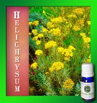 Helichrysum Essential Oils