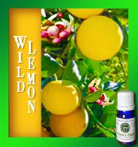 Wild Lemon Essential Oil