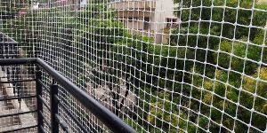 Birds Safety Net