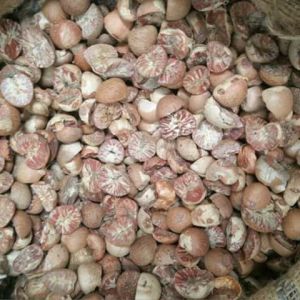 betel nuts,  Packaging Size : 5-25kg