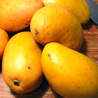 Bainganpalli Mangoes