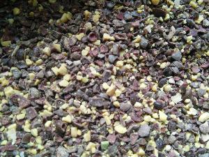 babool seed powder