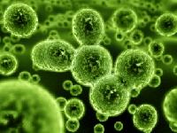 Microbial Disinfection