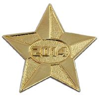 2014 Gold Star Pin