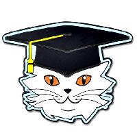 Cat Graduate Pin