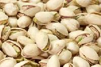 pistachio nut