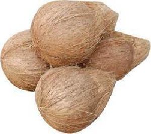 fresh indian coconuts (Pollachi origin)