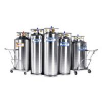 GAS STORAGE Cryogenic Cylinders
