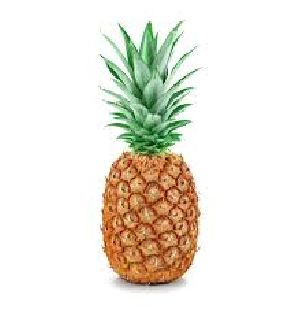 Fresh Pineapple