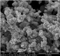 Filamentary Carbonyl Nickel Powders