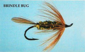 Steelhead Fly Fishing Flies