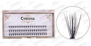 Russian Volume Premade Fans Cluster Russian Volume Premade Fans Cluster