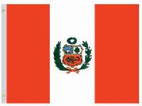 Nylon Peru Government Flag